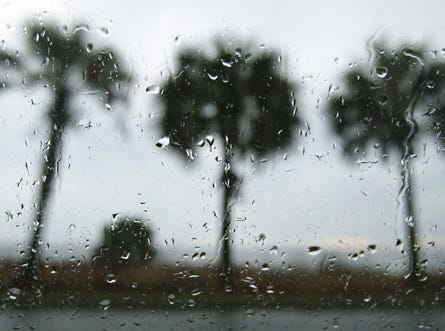 Rain falls on a window Saturday.