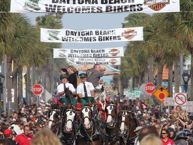 The Budweiser Clydesdales put real horsepower into the Bike Week 2013 festivities along Main Street in Daytona Beach on Saturday, March 9, 2013.