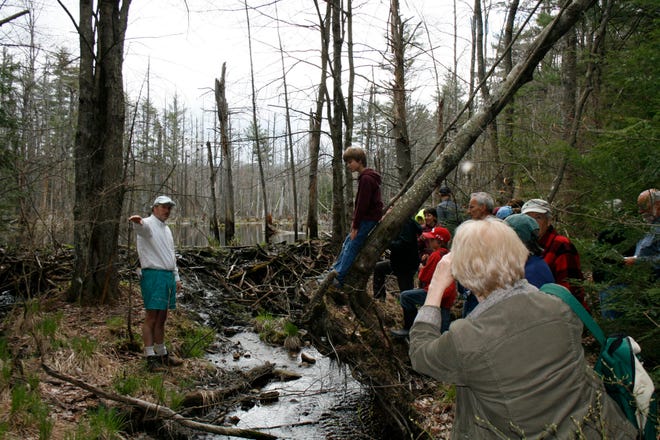 Courtesy photo

Bear-Paw is expanding its volunteer conservation easement monitoring program and this outdoor skills workshop will be particularly valuable for those who are interested in being a Bear-Paw Volunteer Easement Monitor, as well as anyone who wants to learn more about off-trail navigation.