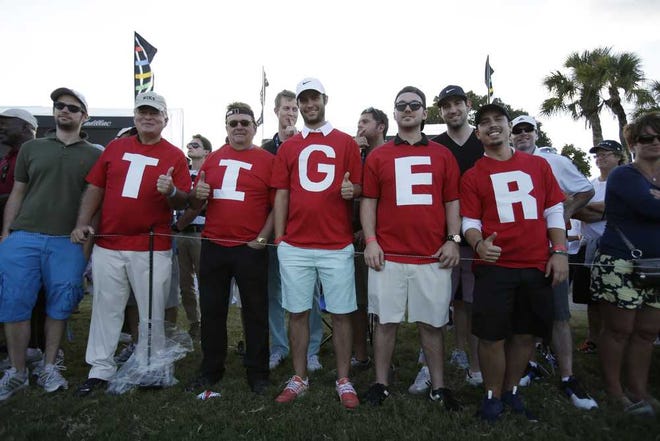 Wilfredo Lee Associated Press Tiger Woods fans are back out in force as he edges closer to the No. 1 ranking he last held for 281 consecutive weeks.