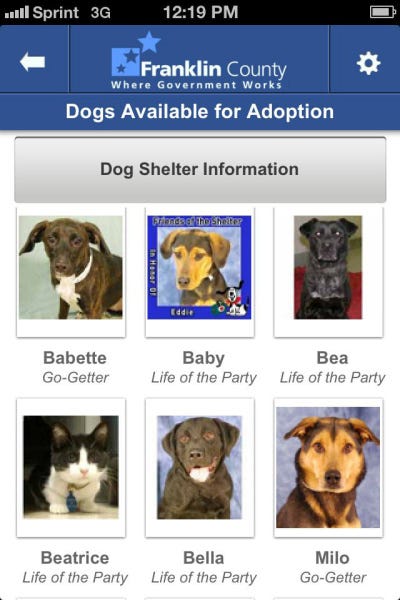 County app gives folks paws, linking users to shelter animals