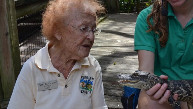 Esther Bondareff, 97, with Banjo the American alligator at the Palm Beach Zoo, where she has volunteered for 25 years.Photo courtesy of the Palm Beach Zoo
