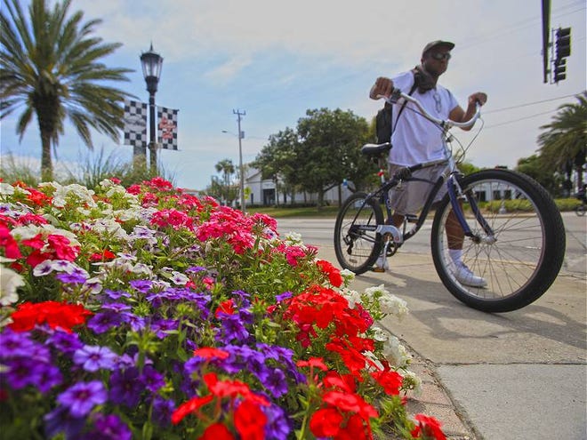 A man walks his bicycle past flowers blooming along Granada Boulevard and Beach Street in Ormond Beach on Tuesday, March 19, 2013.