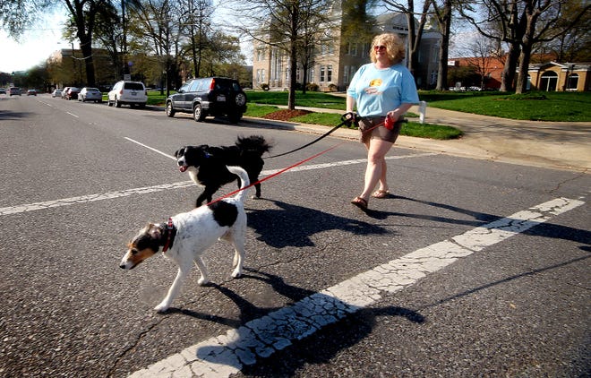 Community residents are looking into bringing a possible dog park to Shelby and possibly partnering with the city in its effort. Initial plans for the park include at least two acres of gated land where dogs can be leash free. Here, Linda Shaffer takes Chico and Trevor for a walk across Warren Street in Uptown Shelby. (Star file photo).