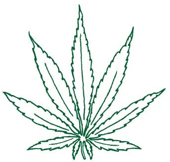 A YES VOTE would replace the criminal penalties for possession of one ounce or less of marijuana with a new system of civil penalties: www.sensiblemarijuanapolicy.org.
A NO VOTE would make no change in state criminal laws concerning possession of marijuana: www.noquestion2.org.