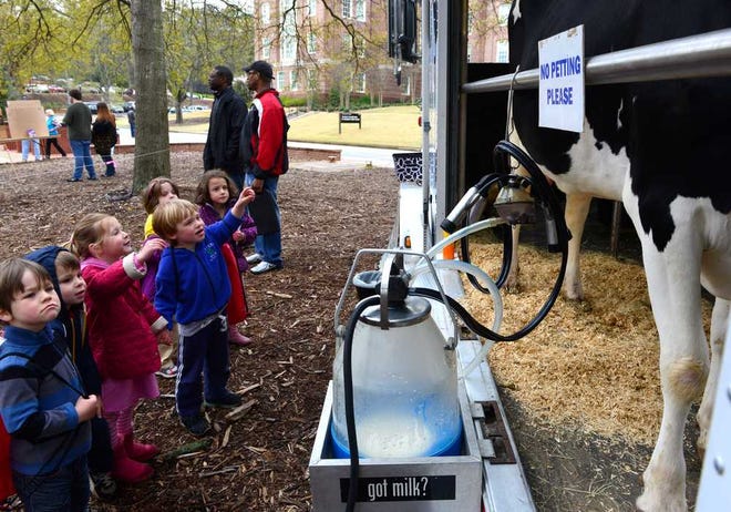 Area children learn how a cow is milked during the UGA Veterinary School Open House on Friday, April 5, 2013 in Athens, Ga.  (Richard Hamm/Staff/ OnlineAthens)