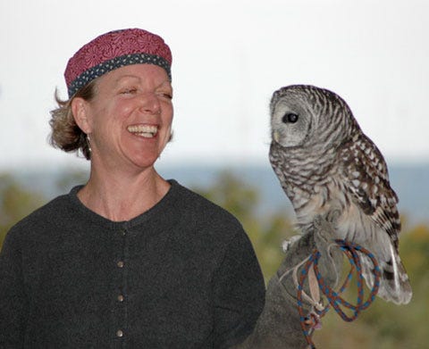 The “Wings of Wonder” program by Rebecca Lessard (pictured with the owl) will include information on birds of prey and will feature live hawks at the Earth Week Plus Expo on Saturday. In additional to being an educational program, Wings of Wonder also includes a raptor rehabilitation and release facility.