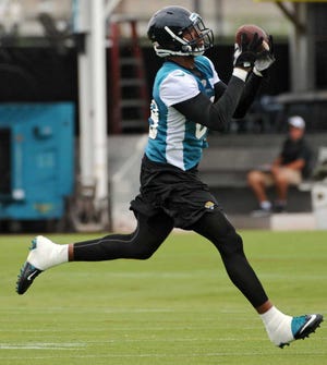 Tight end Marcedes Lewis hauls in a Blaine Gabbert pass during the Jaguars' veteran minicamp Wednesday.