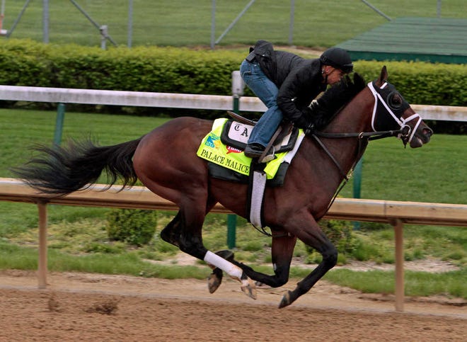 Jockey Mike Smith rode Dogwood Stable's Palace Malice during a workout this week. Smith has had his share of ups and downs during his career at the Kentucky Derby.