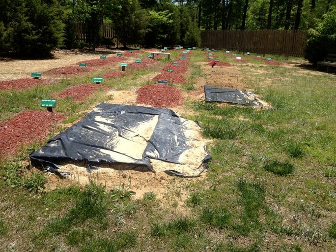 The alleged burial site of Boston Marathon bombing suspect Tamerlan Tsarnaev is covered in Doswell, Va., on Friday. Ruslan Tsarni, the uncle of Tamerlan Tsarnaev said Tsarnaev was buried in the cemetery in Doswell, near Richmond. Tsarnaev was killed April 19 in a getaway attempt after a gunbattle with police. His younger brother, Dzhokhar, was captured later.
ROBERT A. MARTIN | THE ASSOCIATED PRESS