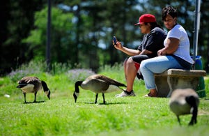 FILE - Grazin' in the grass Echo McPhaul (left) and Cheryl Tutt watch Canada geese graze at Diamond Lakes Regional Park in Hephzibah, GA.