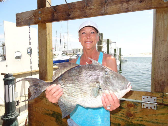Kristi Ayre shows off a big triggerfish she caught Thursday on the Suzie Q with Capt. Jason Hindman.
