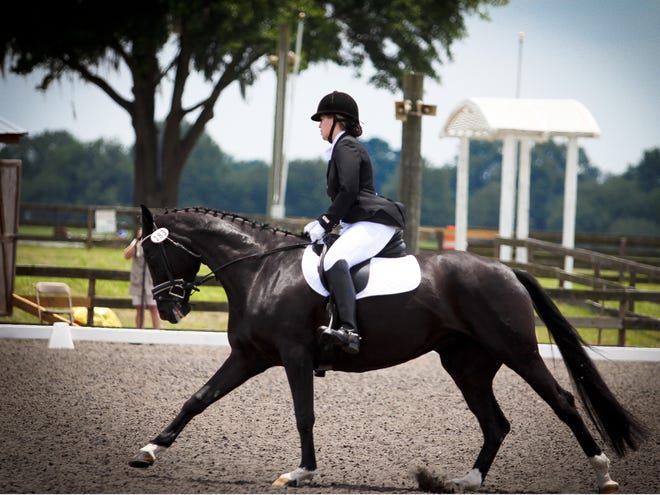 Daphne Dobber, of Ocala, rides through the Stride Dressage competition on Black Treasure at the Florida Horse Park on Sunday. The state budget includes $2 million for the horse park.
