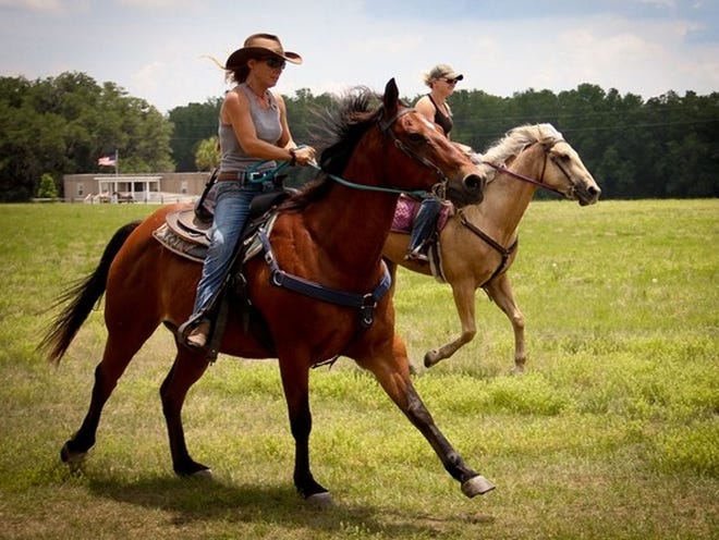 Tammy Bichel and Lorrie Clark ride their horses, Chunk and Avalon. (Lisa Crigar | Ocala Star-Banner)