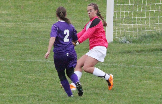 Portland senior goalkeeper Kristen Lawless makes a save against a Fowlerville forward Thursday night during the Raiders' Capital Area Activities Conference Cup and home finale.