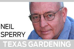 Neil Sperry: Texas Gardening