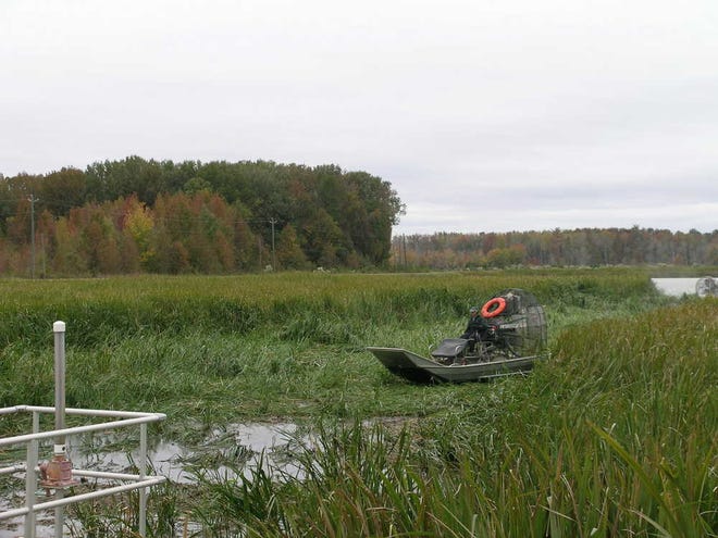 Using airboats to flatten vegetation at Phinizy Swamp Nature Park each fall has helped reduce the number of redwing blackbirds, which could pose a hazard to planes using Augusta Regional Airport.