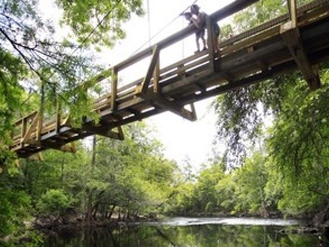 Fort White residents Catharine Smith and her son, Dominick Musto, 5, admire the view from the suspension bridge crossing the Santa Fe River at O'Leno State Park in High Springs on Tuesday. "We come at least once a week," said Smith. "I come for the quiet, the nature trails, to take photos, and to let him use the playground." The park features canoeing, swimming, picnic shelters, camping facilities, a playground, and nature trails along the Santa Fe River and surrounding area with deer, turkey, foxes, snakes, gators and turtles being common sightings. ( Erica Brough/Gainesville Sun )