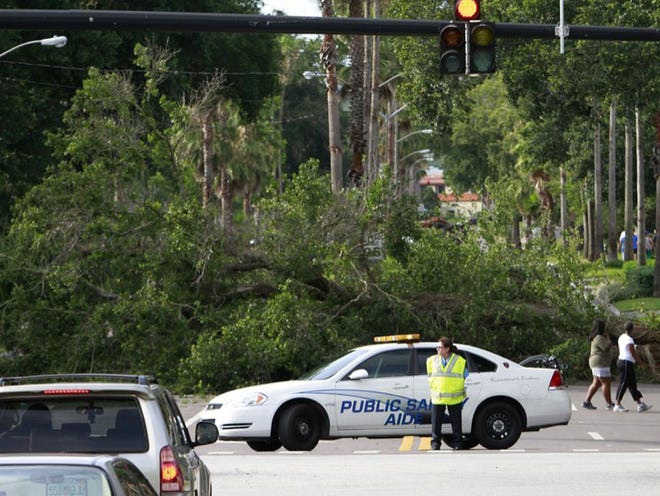 A huge oak tree fell Thursday afternoon, covering all lanes of Cleveland Heights Boulevard in Lakeland.