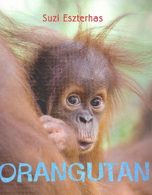 “Orangutan” written and photographed by Suzi Eszterhas
