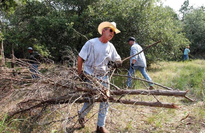 Associated Press President Bush clears cedar at his 1,600-acre ranch in Crawford, Texas in 2002.