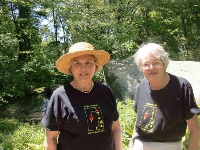 Marsha Hoar, left, and Pat Michaud, members of the Scituate Garden Club, work at the club's Wildflower Garden at The Mann Historic House at 108 Greenfield Lane.