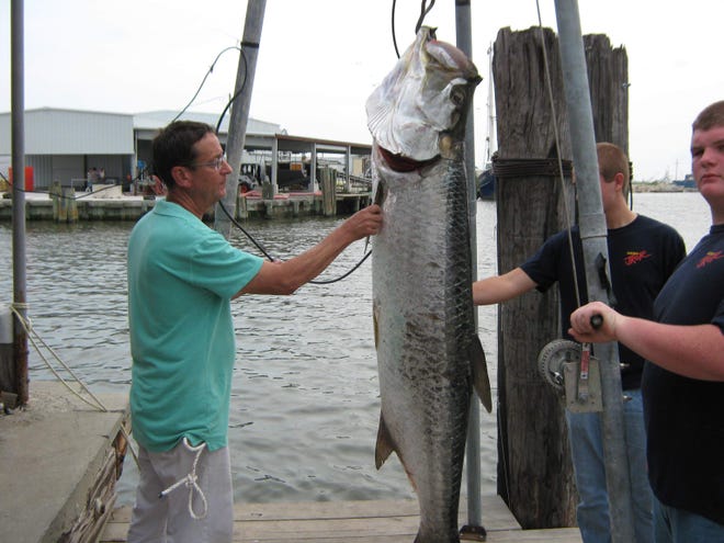 Martin Bourgeois weighs a tarpon caught last year during the Golden Meadow-Fourchon International Tarpon Rodeo.
