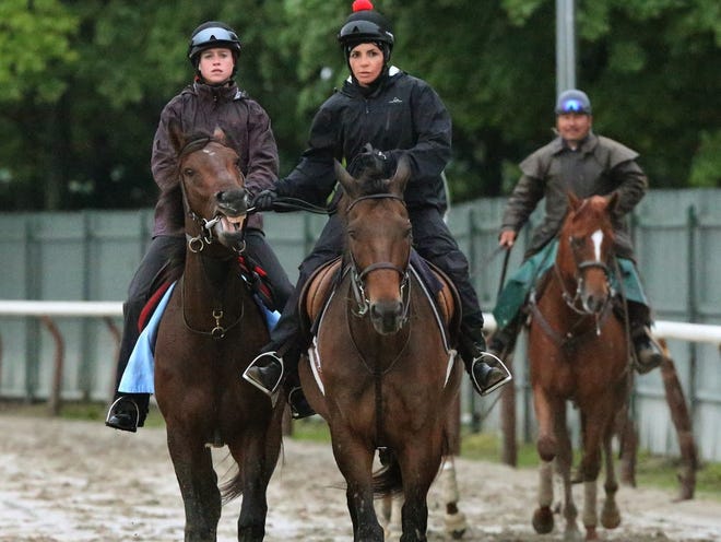 Exercise rider Jennifer Patterson, left, rides on Kentucky Derby winner Orb as her outrider Anna Martinovsky, right, escorts her off the sloppy rain soaked track after a brief gallop on the track at Belmont Park in Elmont, NY, Friday morning, June 7, 2013. The 2013 Belmont Stakes will be held Saturday June 8, 2013. Kentucky Derby winner Orb is the favorite.