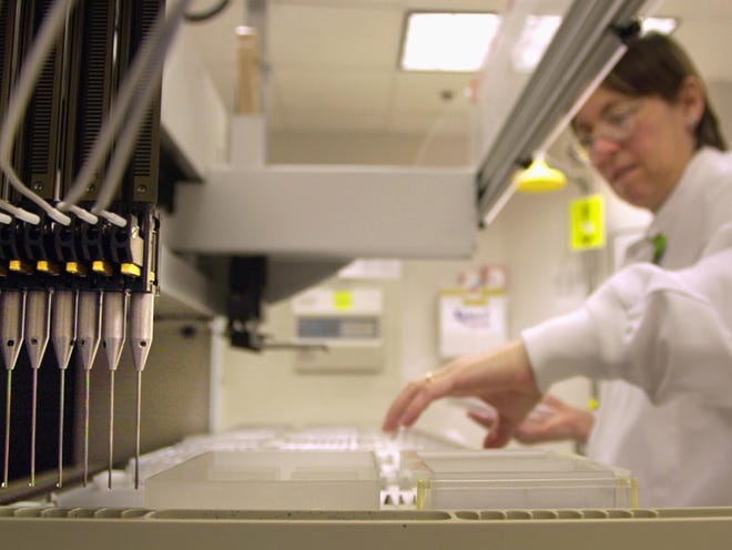 A technician loads patient samples into a machine for testing at Myriad Genetics in 2002 in Salt Lake City. DNA samples are moved from one tray to another by the eight-needle apparatus at left. The Supreme Court ruled Thursday that Myriad Genetics Inc. cannot patent the BRCA genes, which are tested to check a woman’s risk for breast and ovarian cancer. Mutations in these genes are what led Angelina Jolie to have both her breasts removed because she had such a high cancer risk. Some experts think the court ruling may lead to lower cost testing because there could be more competition.