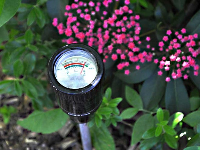 A soil moisture tester is an inexpensive way to check your soil.