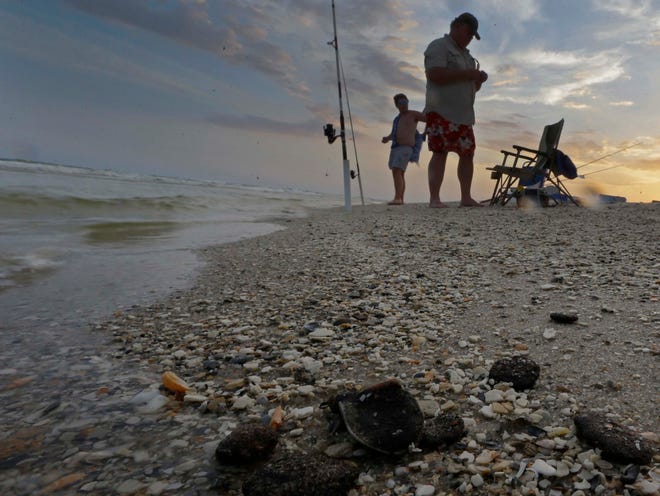 In this Tuesday, June 11, 2013, photo, tar balls lie mixed with shells on the beach in Gulf Shores, Ala. After three years and $14 billion worth of work following the BP oil spill in the Gulf of Mexico, the petroleum giant and the Coast Guard say it's time to end extraordinary cleanup operations in Alabama, Florida and Mississippi. (AP Photo/Dave Martin)