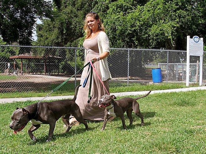 Tammy Tudders of Palm Coast and her dogs leave the city's dog park at James F. Holland Memorial Park on Wednesday, June 19, 2013.