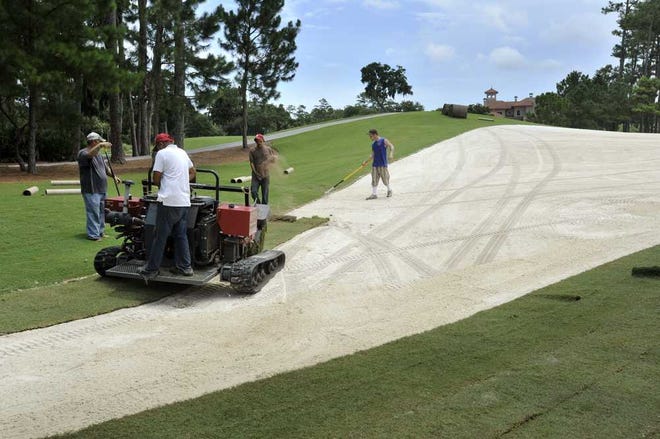 Workers replace the grass around the collar of the 17th hole of the TPC Sawgrass Players Stadium Course.