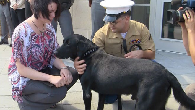 State troopers and U.S. Marines teared up Friday when Bradley O'Keefe, a former lance corporal in the Marines who earned a Purple Heart in Afghanistan was reunited with his former partner Earl, the bomb-sniffing dog who saved his life. Lance Corporal Bradley O'Keefe and his sister Rachel Lawson, greet Earl as he is reunited with him.