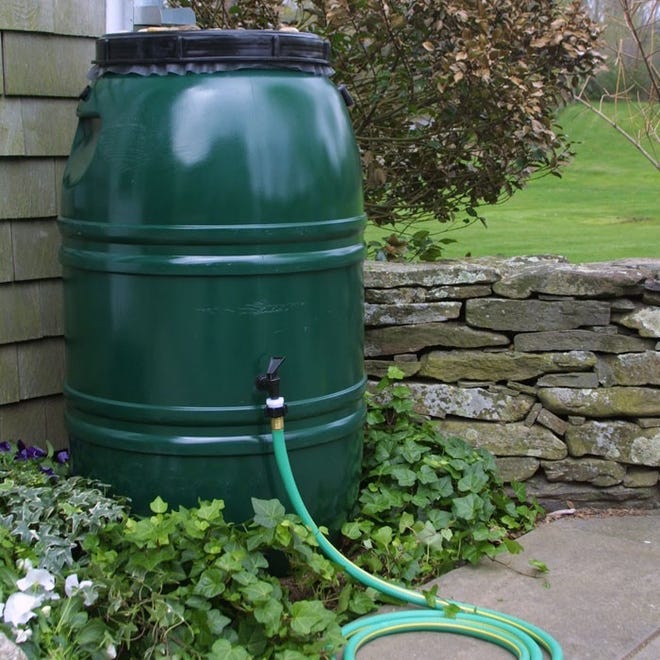 Orders for rain barrels will be accepted until July 12.
