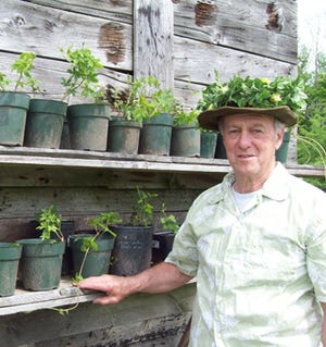 Norm Dann, at his home in Peterboro, stands near the Hop Plants that he grows every year for the Madison County Historical Society's Annual Hop Fest. Plants are $5 and can be purchased by calling Dann at 315-380-9389.
