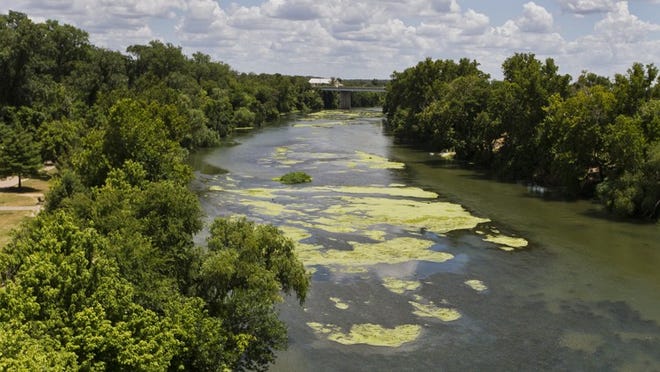 This view of the Colorado River in Bastrop between Loop 150 and Texas 71 shows an area filled with algae. Mark Rose, the general manager of Bluebonnet Electric Cooperative, sent a letter to Bastrop County commissioners asking about the algae and urging the Lower Colorado River Authority to come up with a comprehensive water development plan that takes the downstream communities into account.