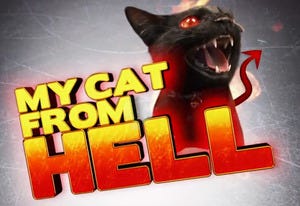 My Cat From Hell | Photo Credits: Animal Planet