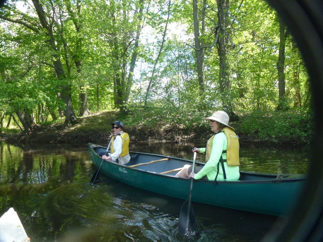 Elizabeth Stacey-Brewer (right) and Mia Snow of Marshfield paddle up the Neponset River in Canton.
