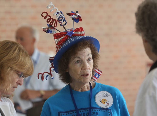 Delegate Judith Gangel dons a fun hat while attending the Massachusetts Democratic convention in Lowell on Saturday.