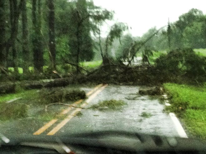 This tree was down on Trinity Church Road in Mooresboro. (Photo submitted by Star Facebook fan Karen Randall Bumgardner)