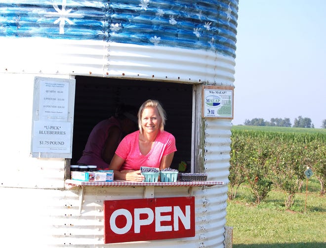 Jennifer Lewis of Westacres Farm in Jonesville tries to stay ahead of the blueberry orders she's received this summer. NANCY HASTINGS PHOTO