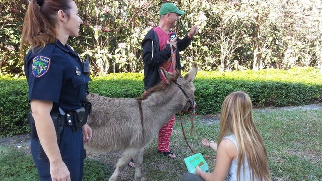 Police Officer Lorie Minot talks with Jason Pennington from Wild 95.5, who rode Paco, the donkey, over the Royal Park Bridge from West Palm Beach Wednesday morning. Minot gave him a verbal warning not to bring a donkey to the island again. Photo by Kelley Fernandez