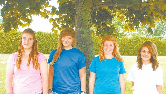 The Cheboygan County Beauty Pageant will be held at 1 p.m., Aug. 3, during the fair. Admission is free to the event. The competing include from left: Rhianna Bruder, Raven Burgan, Autmn Loy and Lucy Gunnarsson.