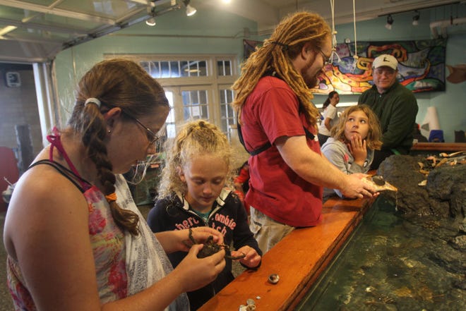 Emily Walsh, 10, of Medfield, Mass., Abbey Grandin, 8, of South Kingstown, Adam Kovarsky, aquarist/education specialist with Save The Bay, and Alina Pucci, 9, of North Kingstown, check out the spider crabs and sea urchins in the touch tank at the Save The Bay Exploration Center and Aquarium, at Easton's Beach Pavillion, Newport. The aquarium officially reopens Saturday.