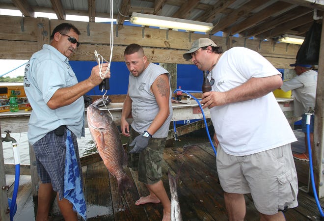 Ricky Richoux (from left) and Earl Richoux weigh Trevor Bailey's mangrove snapper on Saturday at the 91st Annual International Grand Isle Tarpon Rodeo.