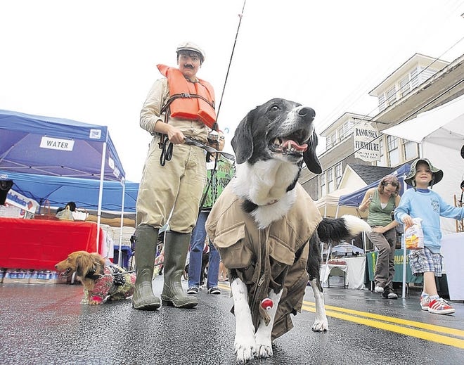 Ani Stanley of Narrowsburg and dogs Mr. Nickel, left, and Cozy Quinn participate in River Dogs on Parade during the event.