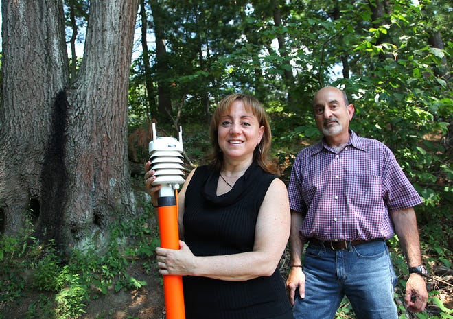 Canton siblings Stella and Chris Karavas have found a way to draw energy from trees using a custom-made circuit. They are hoping to turn their innovation into a business that not only draws attention to this unique form of alternative energy, but gets kids to interact with nature