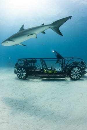 The Volkswagen Beetle Convertible designed for Shark Week.