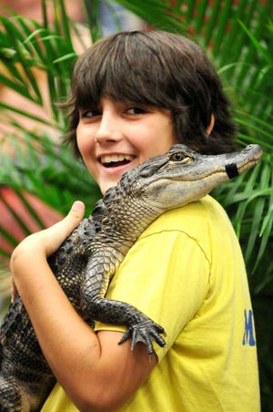 Photos by Bruce.Lipsky@jacksonville.com Jeffrey Wilke, 12, holds Wally, an alligator, while getting his picture taken by Bob Schumaker at LB Reptile Experience during Repticon. Repticon 2013 was held at the Adam W. Herbert University Center on the University of North Florida campus on Saturday.